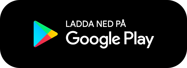 GooglePlay_SE