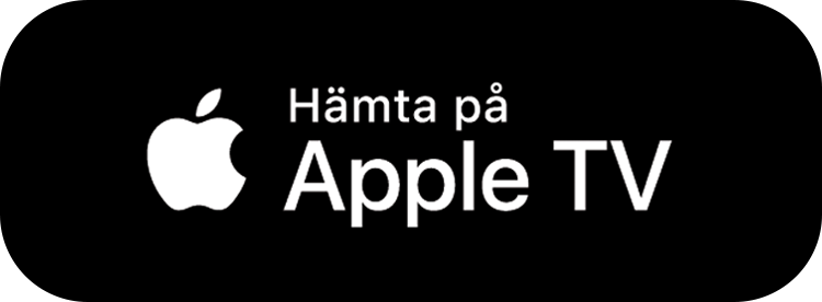 Itunes_SE